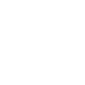 Insanity
