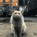 Котов Сергей
